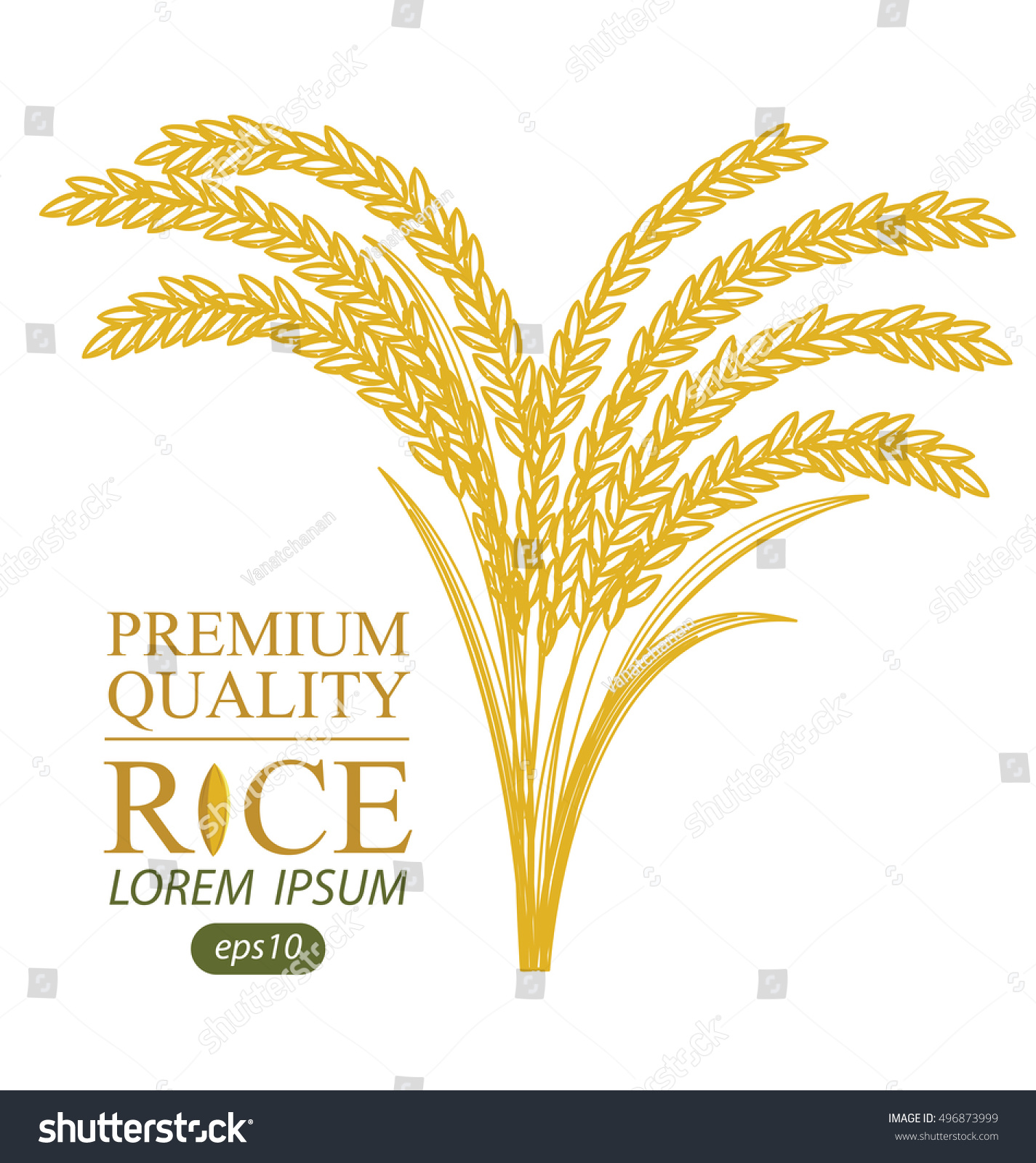 rice vector illustration stock vector royalty free 496873999 https www shutterstock com image vector rice vector illustration 496873999