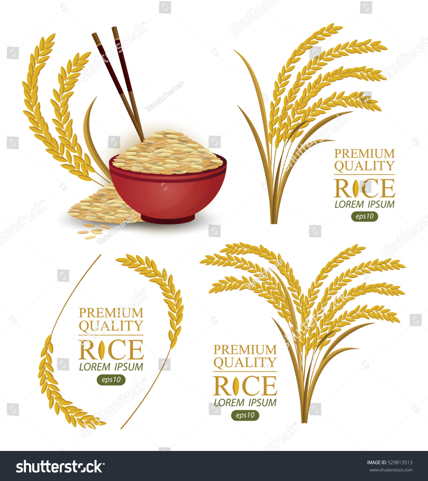 Rice. Vector Illustration. - 529813513 : Shutterstock