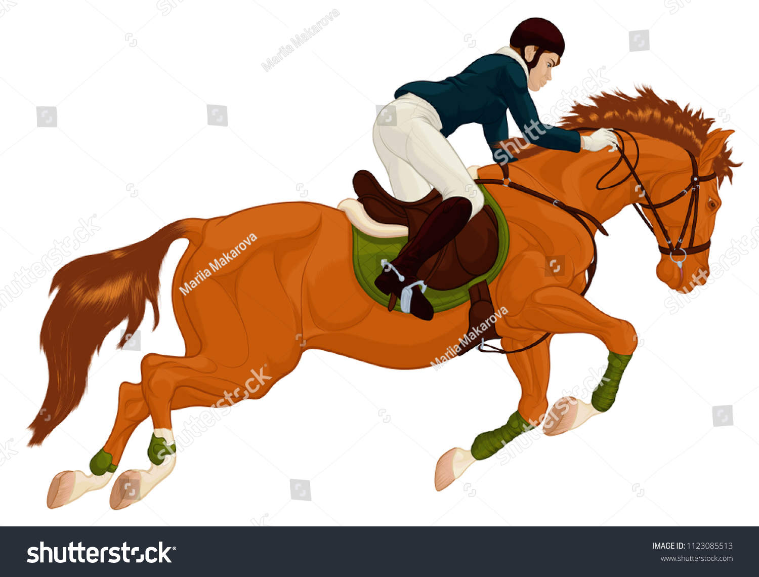 Rider Stallion Overcoming Barrier On Show Stock Vector (Royalty Free ...