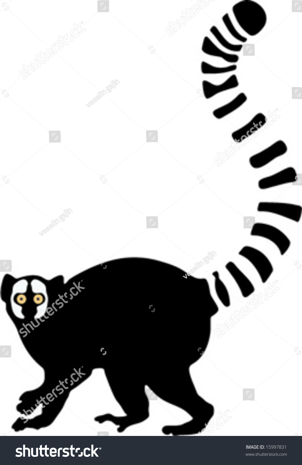 Ringtailed Lemur Vector Stock Vector 15997831 - Shutterstock