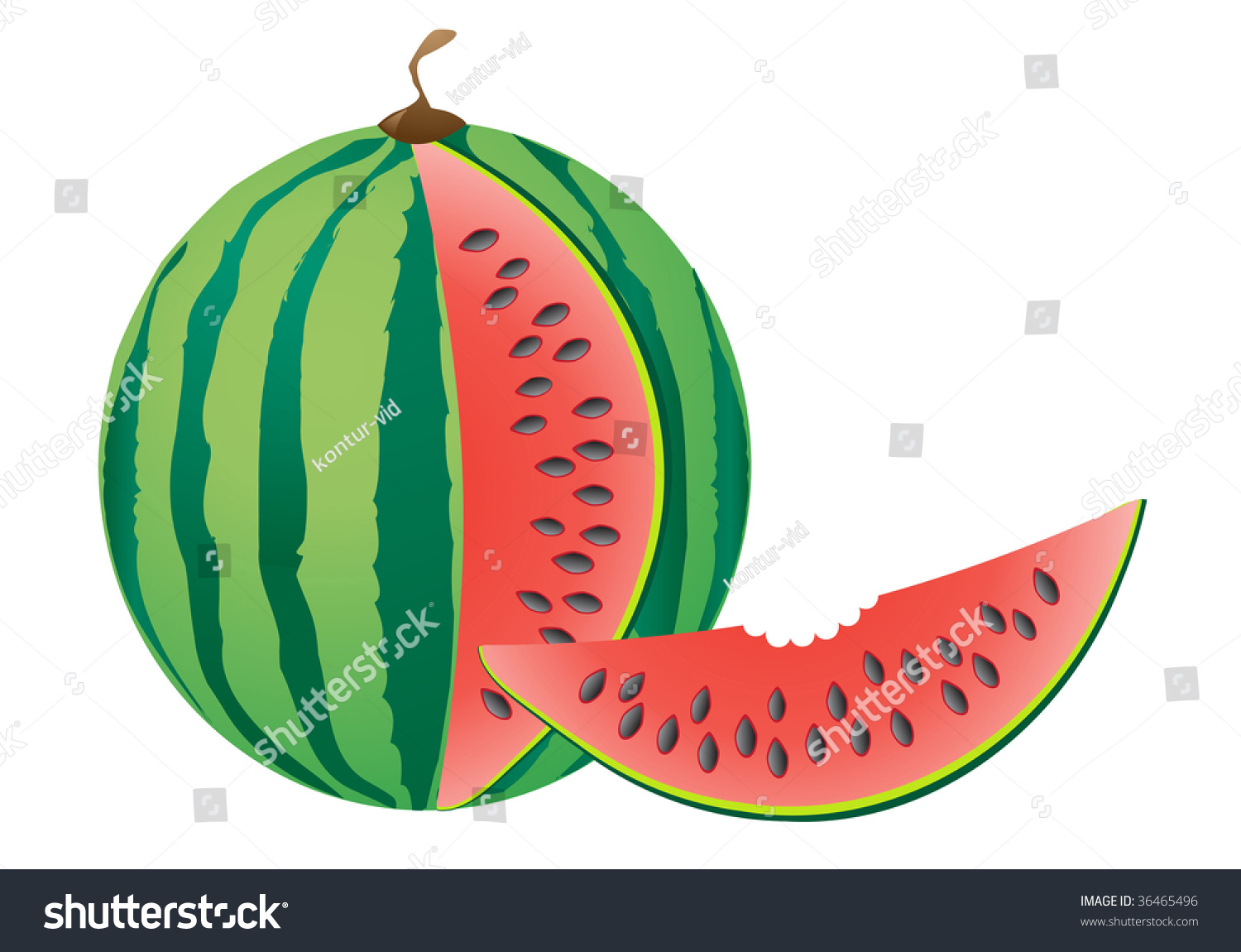 Ripe Big And Slice Bite Watermelon Vector Illustration Isolated On ...