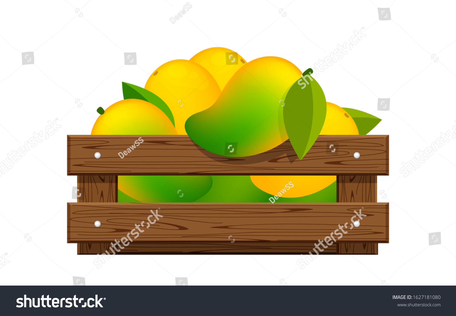 Download Ripe Mango Wood Crate Box Isolated Stock Vector Royalty Free 1627181080 PSD Mockup Templates