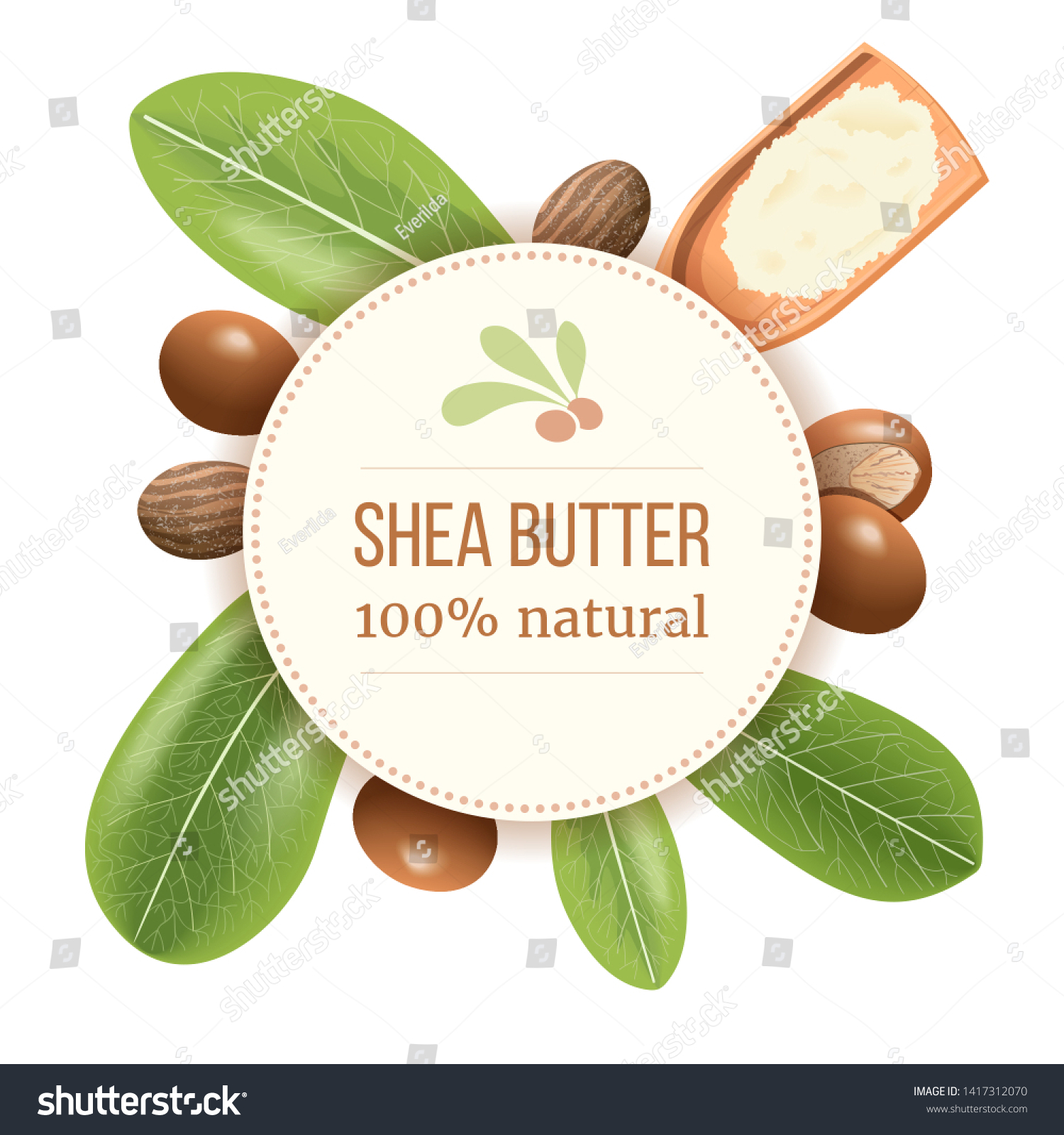 SVG of Ripe shea nuts and leaf Round Circle badge. shi tree pods whole and cracked. Vitellaria paradoxa. Card template copy space. for cooking, cosmetics, aromatherapy, perfume, food, healthcare, ointments svg