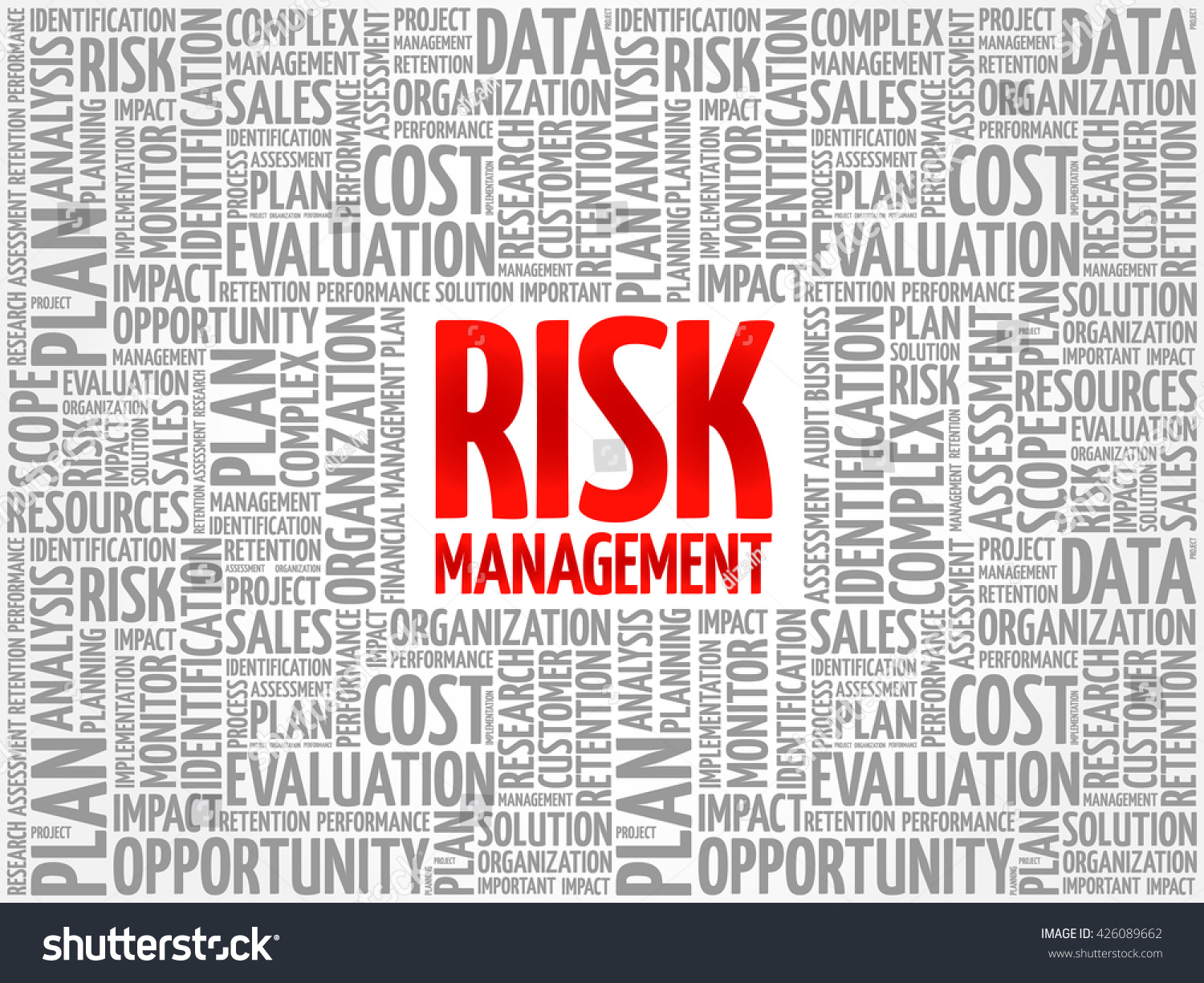 Risk Management Process Identifying Assessing Controlling Stock Vector ...