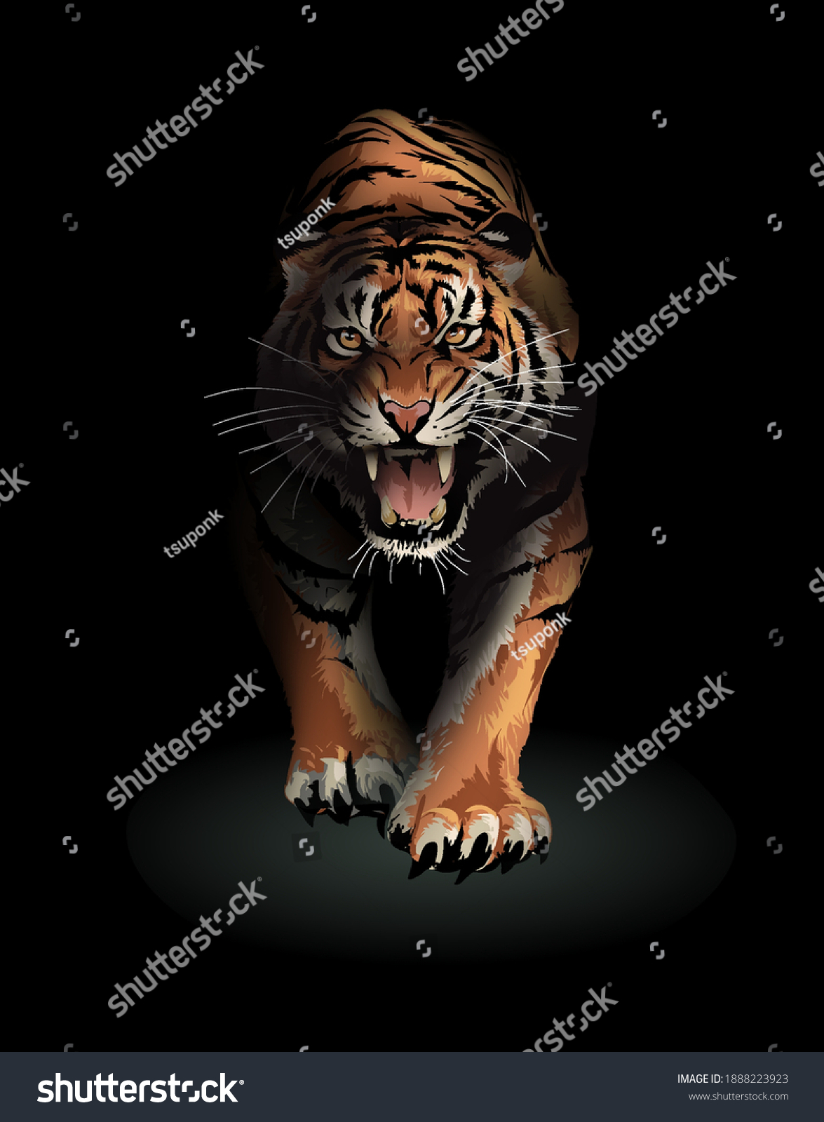 Roaring Tiger Walking Shadow Illustration Stock Vector Royalty Free 1888223923 0160