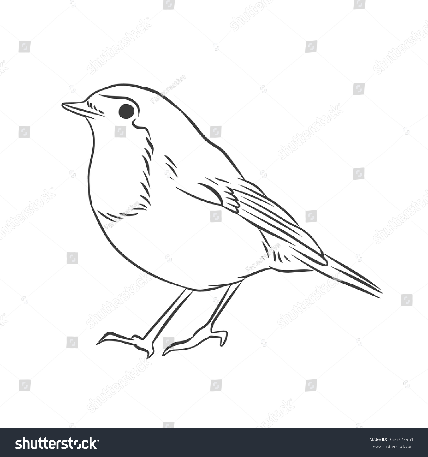 1,822 Robin outline Images, Stock Photos & Vectors | Shutterstock