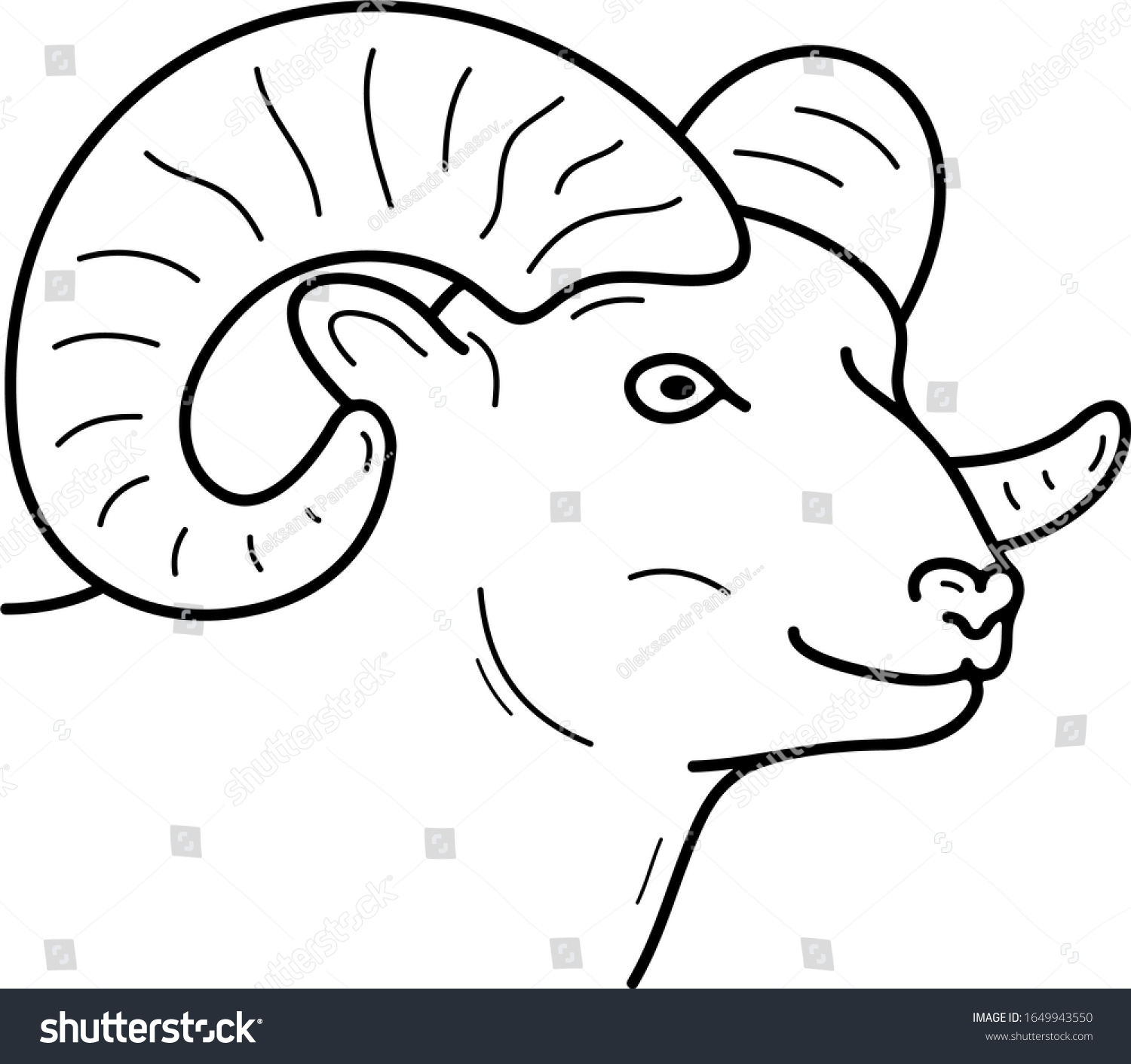 Featured image of post Drawing Rocky Mountain Bighorn Sheep