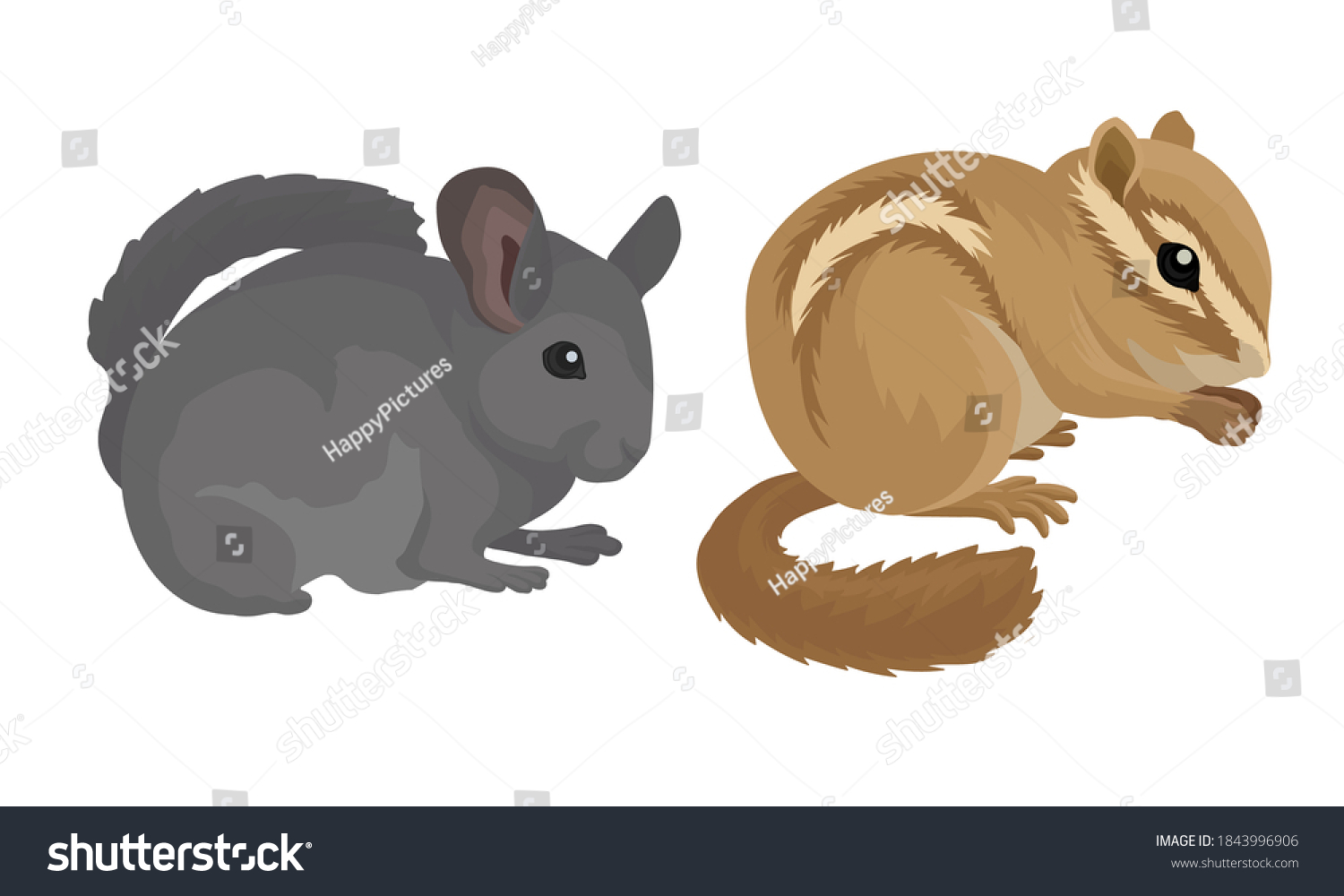 SVG of Rodents with Robust Bodies and Short Limbs Vector Set svg