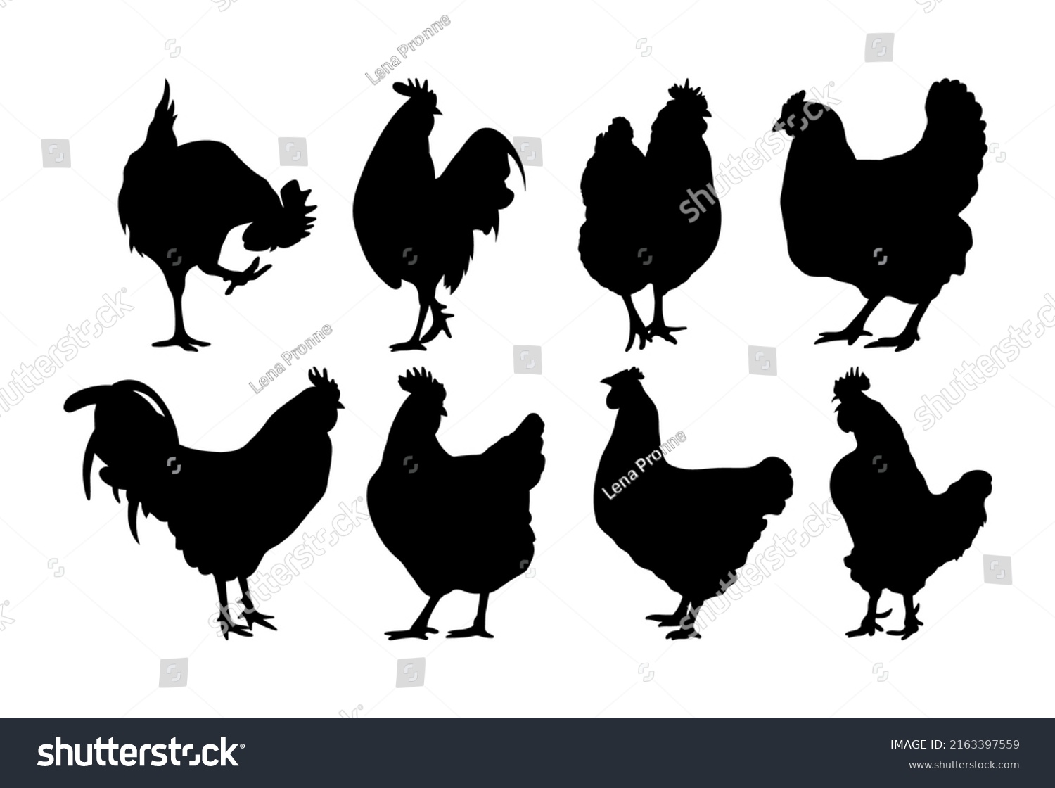 SVG of Rooster and a chicken. Farm bird. Illustration isolated on a white background. svg