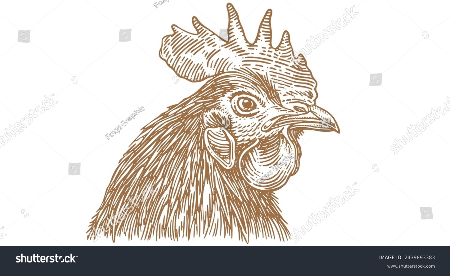 SVG of Rooster, chicken, hen head. Vintage retro print, rooster sketch ink pencil style drawing, engrave old school. Sketch artwork silhouette head rooster chicken. Side view profile. Vector Illustration svg