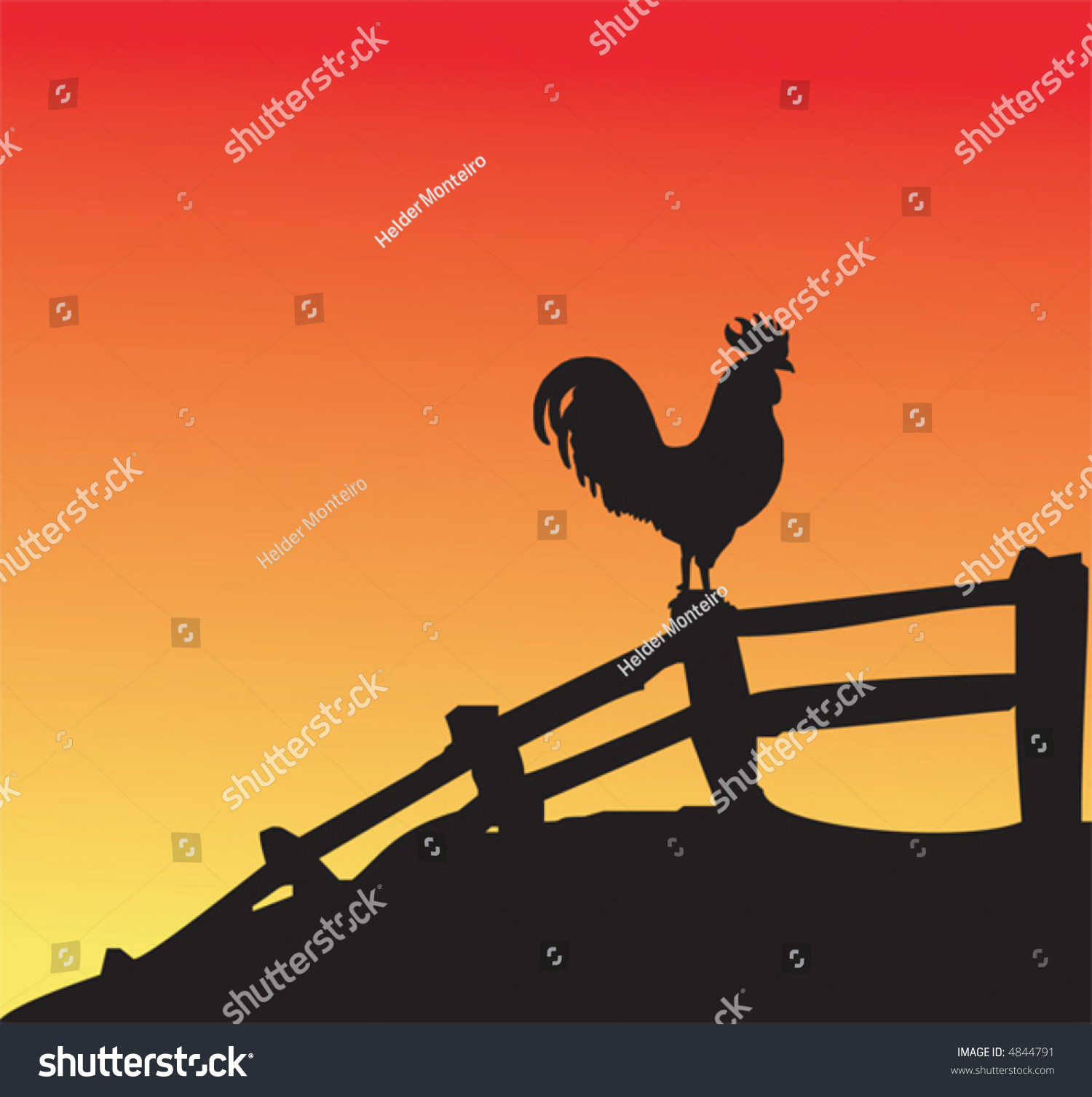 Rooster Silhouette On Fence At Sunset Stock Vector Illustration 4844791 ...