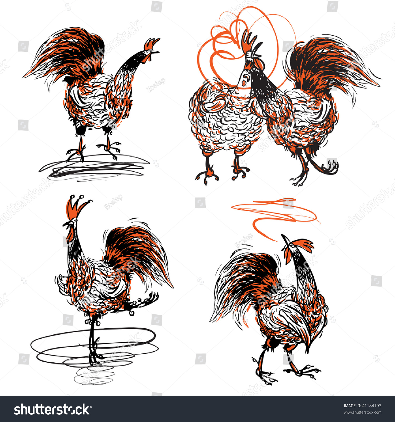 Roosters Hen Vector De Stock Libre De Regalías 41184193 Shutterstock