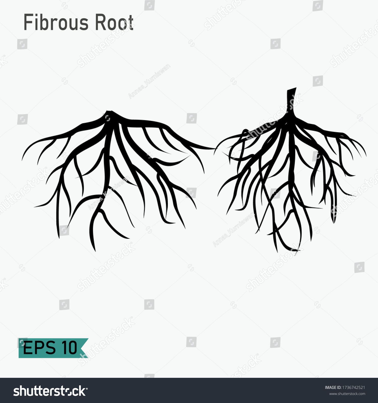 Root Design Flat Style Illustration Fibrous Stock Vector (Royalty Free ...