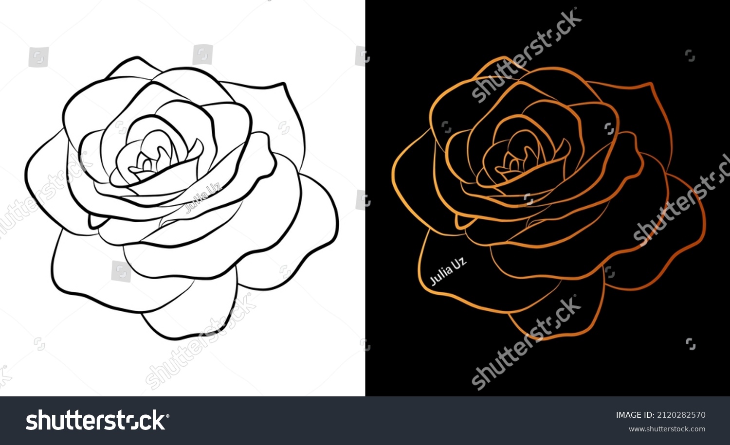 54,886 White rose outline illustration Images, Stock Photos & Vectors