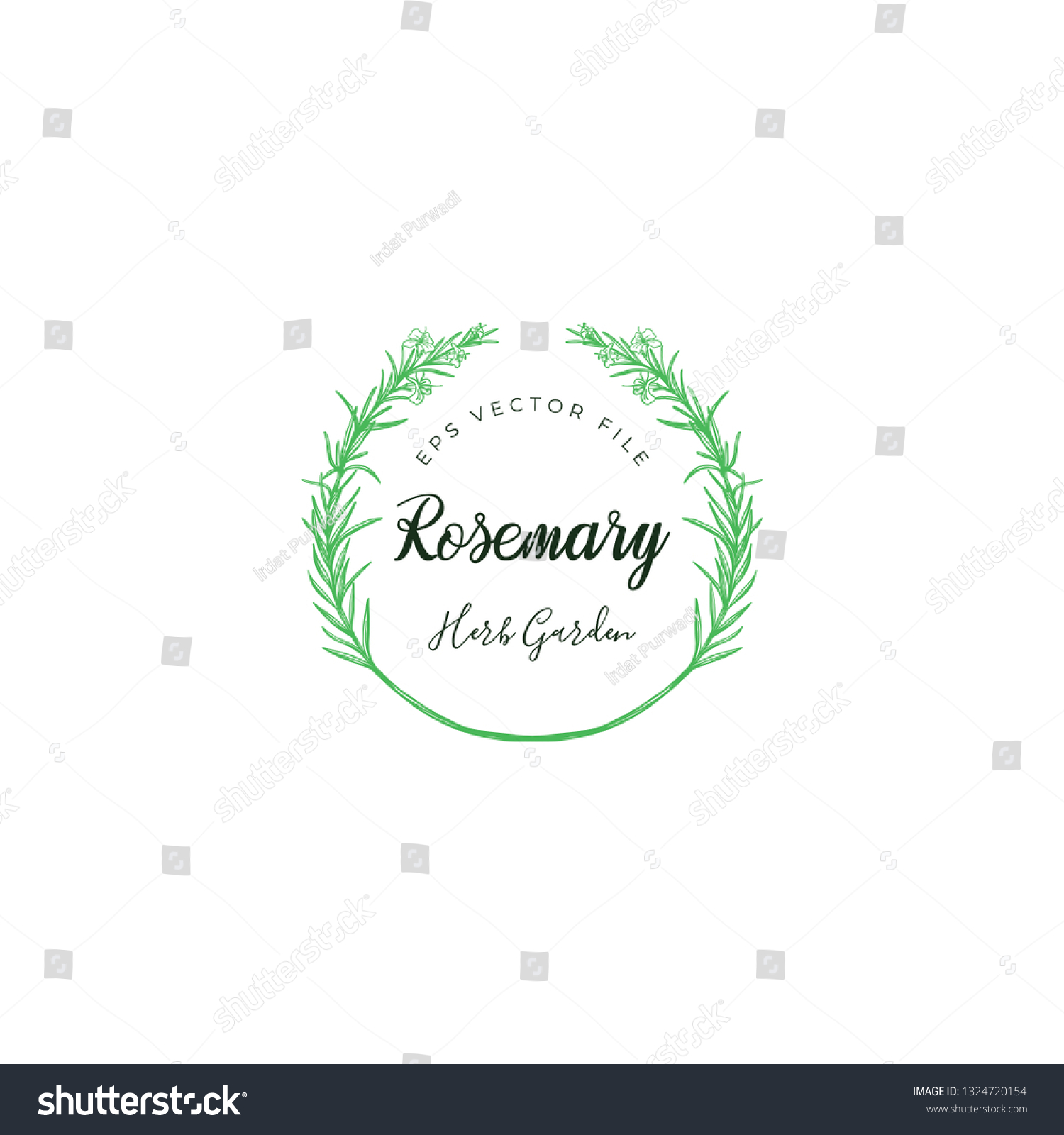 Rosemary Logo Template Herb Garden Logo Stock Vector Royalty Free