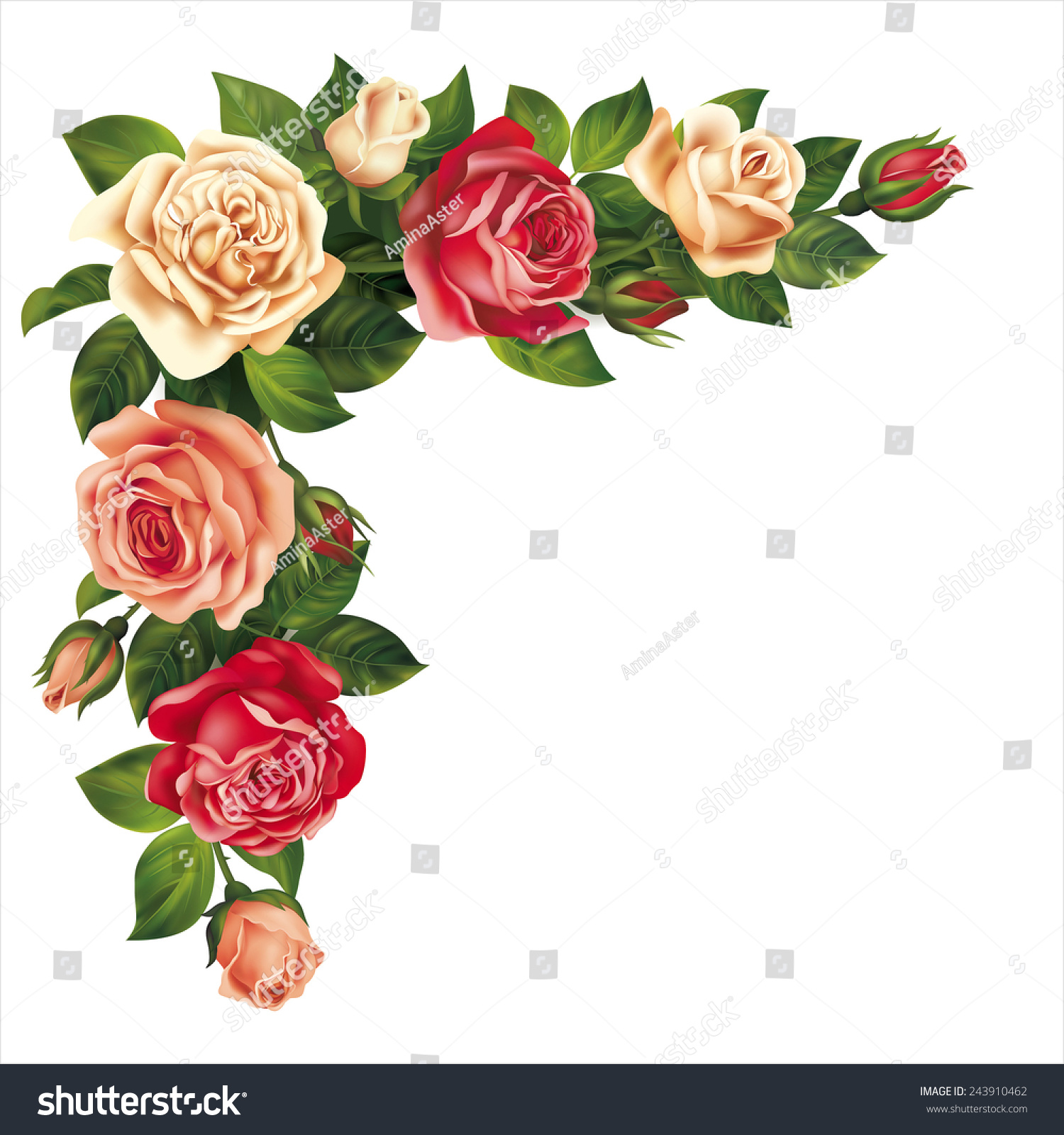 Roses Garland Isolated On White. Vector Eps 10. - 243910462 : Shutterstock