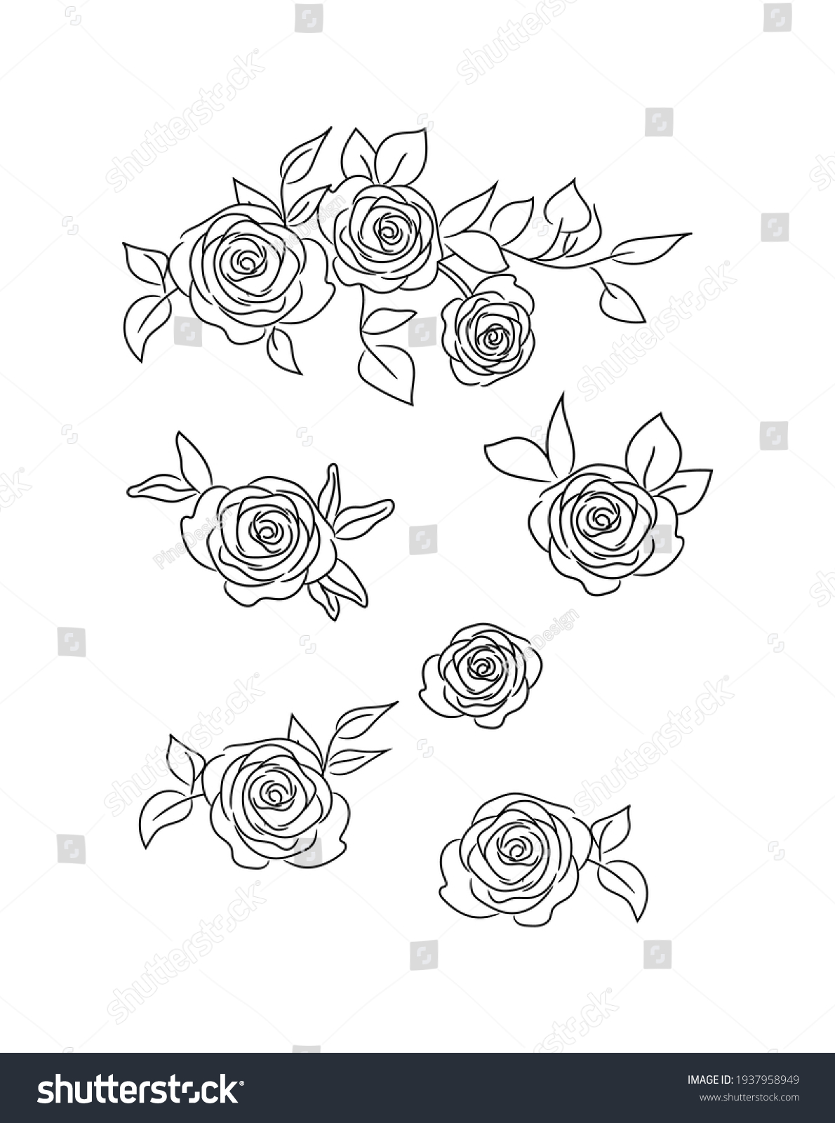 SVG of Roses Vector Illustration Set. Rose flower arrangements for wedding invitations, cards etc svg