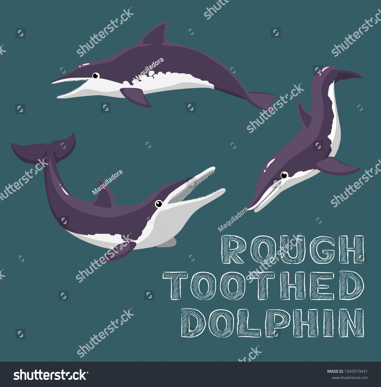 Roughtoothed Dolphin Cartoon Vector Illustration Stock Vector (Royalty ...