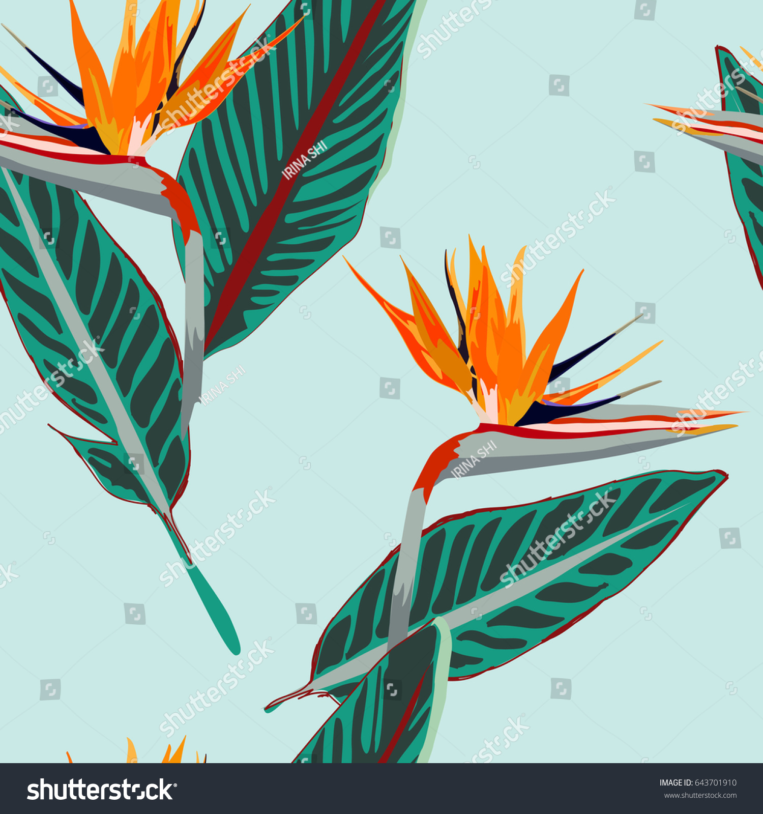 Royal Strelitzia Tropical Flowers Bird Paradise Stock Vector 643701910 - Shutterstock