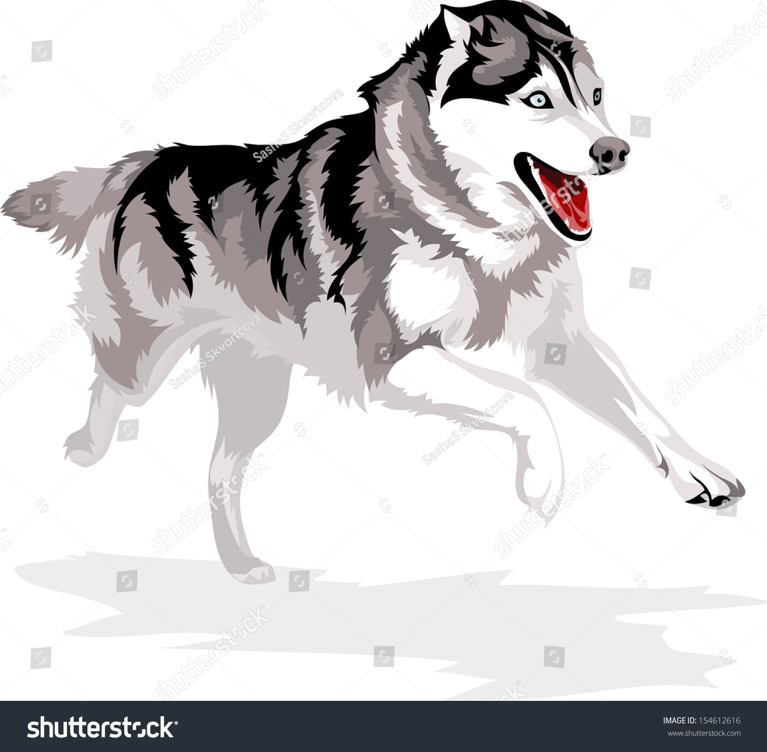 Running Dog Breed Siberian Husky Stock Vector 154612616 - Shutterstock