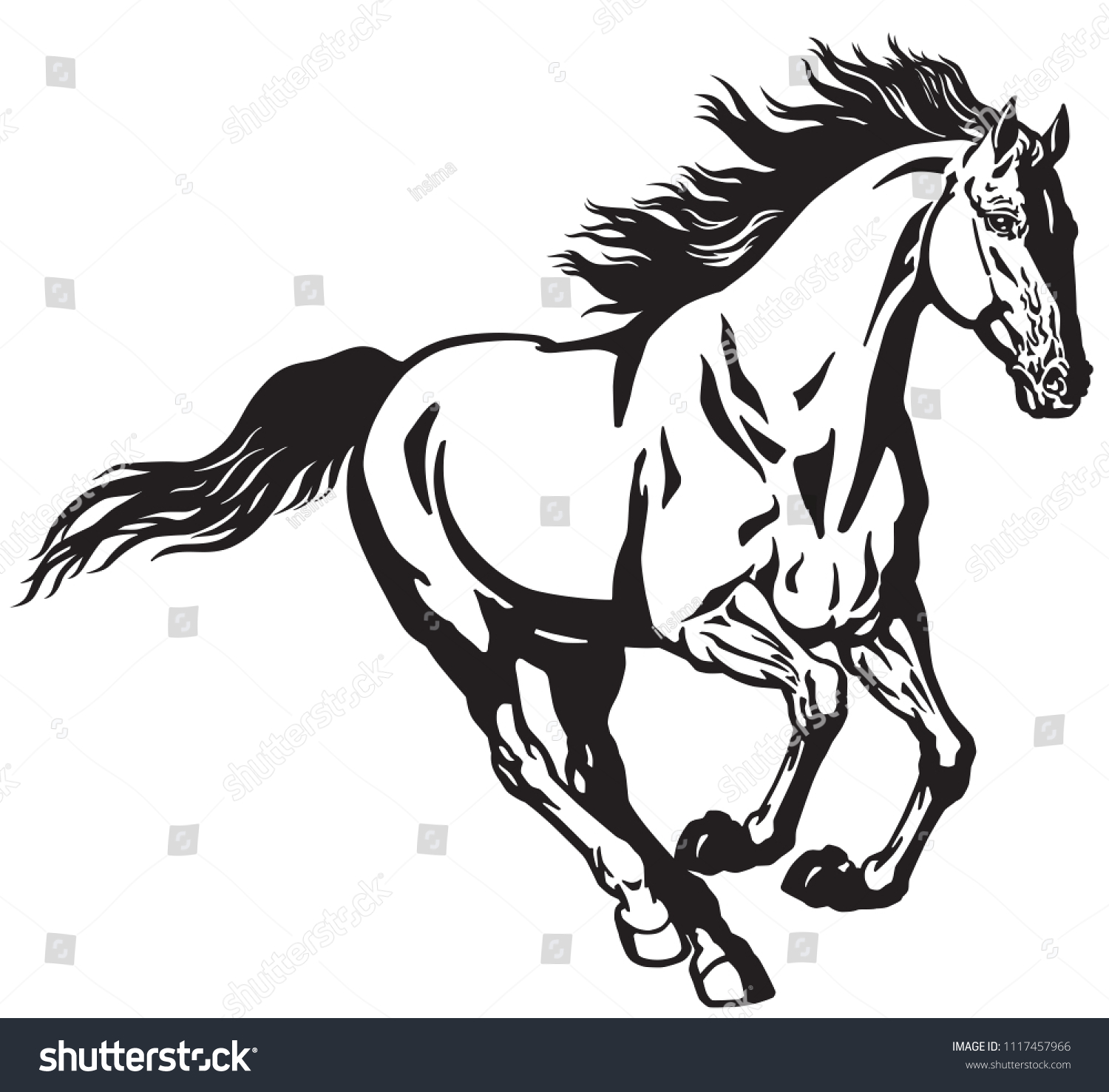 8,760 Galloping mustangs Images, Stock Photos & Vectors | Shutterstock