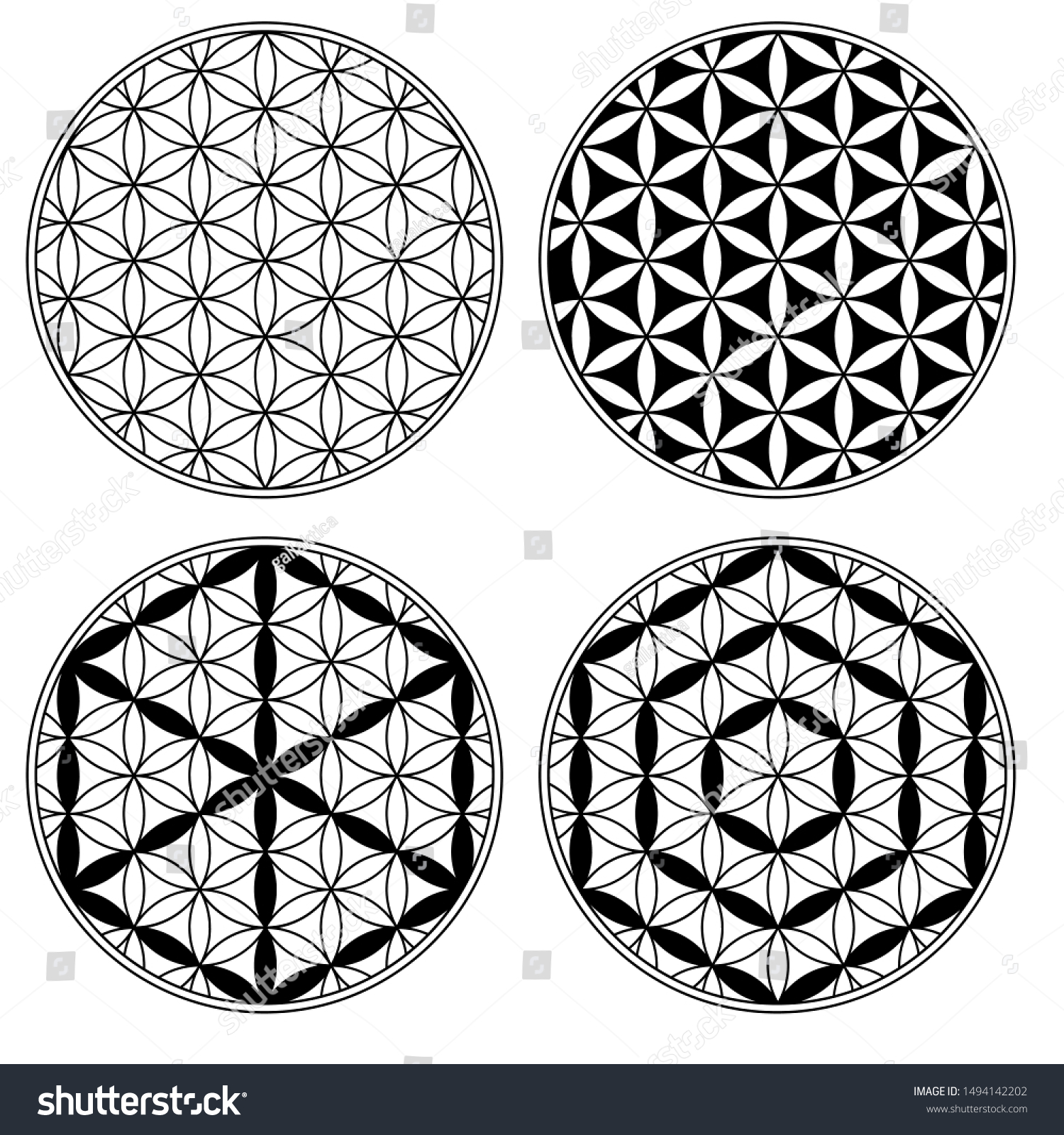 Sacred Geometry Flower Life Stock Vector (Royalty Free) 1494142202 ...