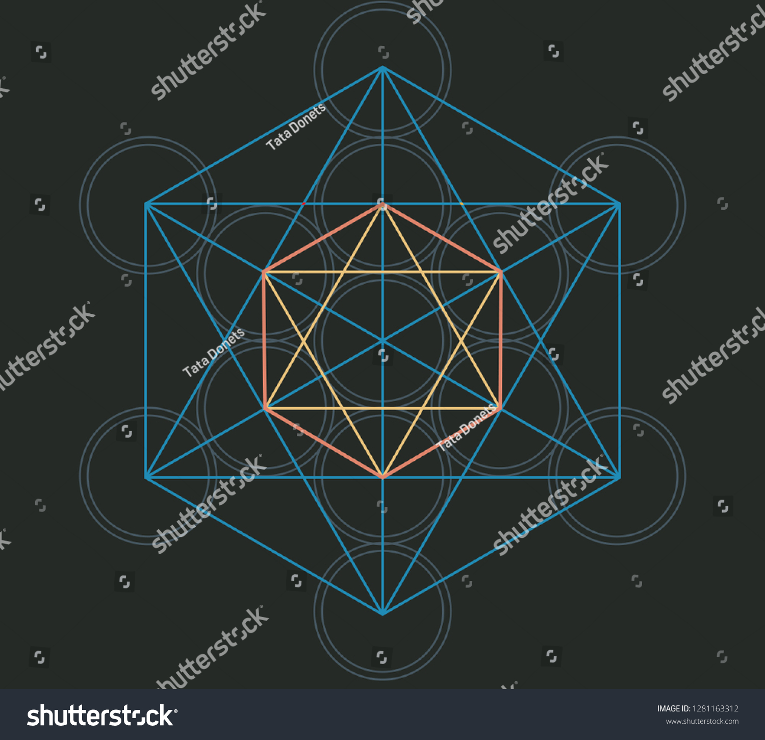 Vektor Stok Sacred Geometry Platonic Solids Vector Illustration Tanpa
