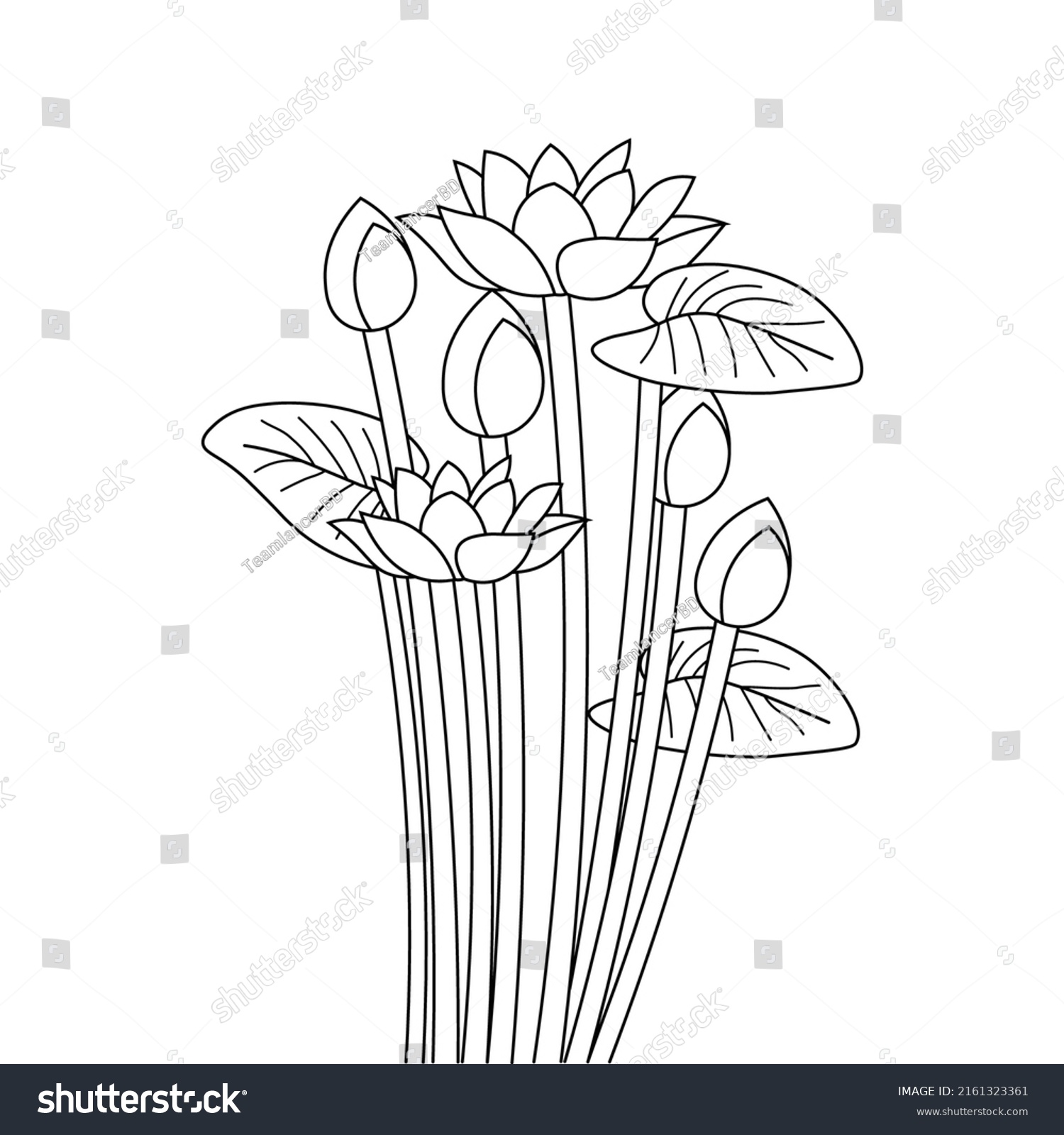 Sacred Lotus Flower Leaves Line Art Stock Vector Royalty Free 2161323361 Shutterstock 4246