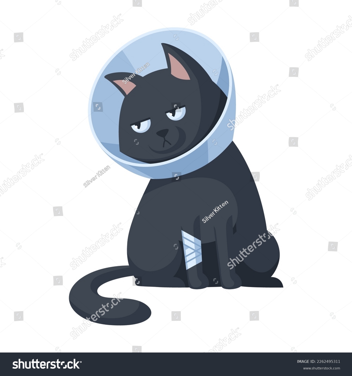 SVG of Sad black cat with a bandaged paw in a veterinary cone collar. Concept illustration of providing first aid to pets. Isolated on white background. svg