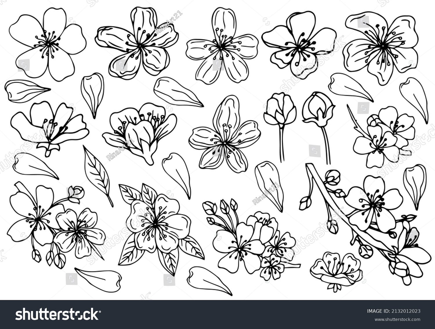 Sakura Flowers Blossom Set Hand Drawn Stock Vector (Royalty Free ...