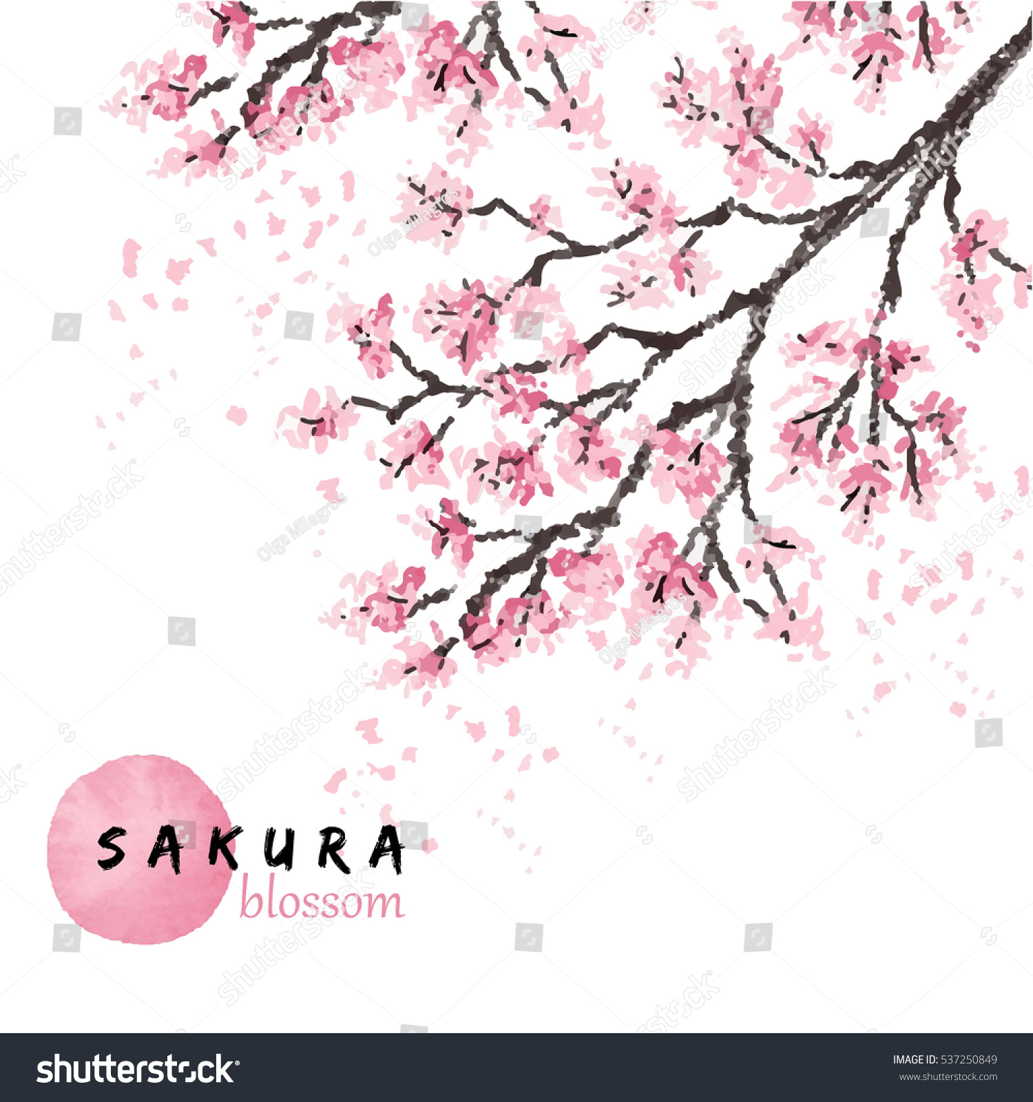 桜の枝に花が咲く桜のベクターイラスト 手描きのスタイル のベクター画像素材 ロイヤリティフリー