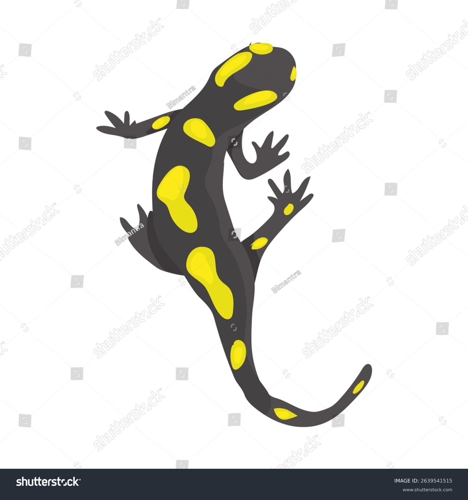 black salamander with yellow spots, top view clip art preview