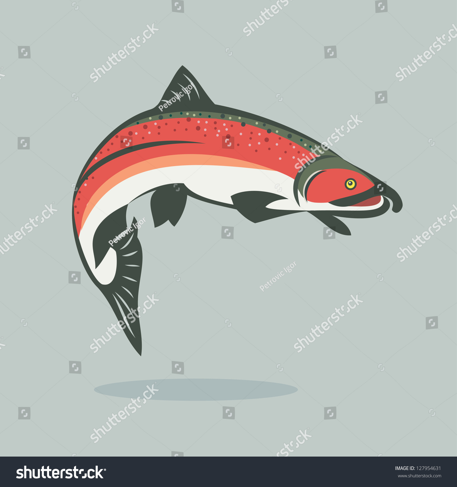 Salmon Fish - Vector Illustration - 127954631 : Shutterstock