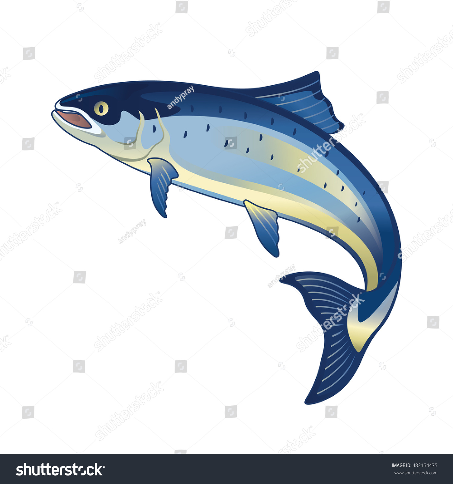 Salmon Fish Vector Illustration Stock Vector 482154475 - Shutterstock