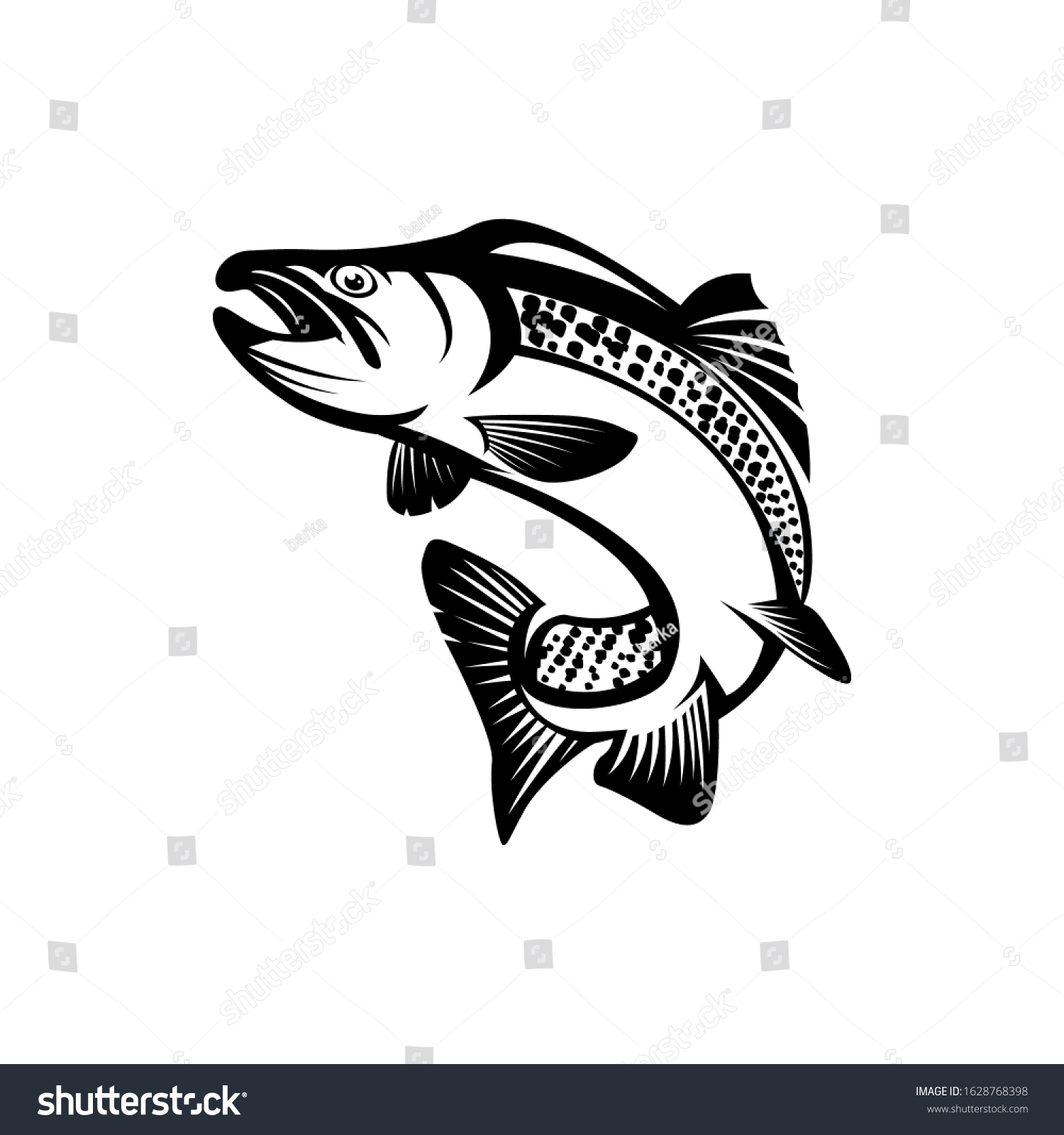 Salmon Fish Vector Illustration Salmon Fish Stock Vector (Royalty Free ...