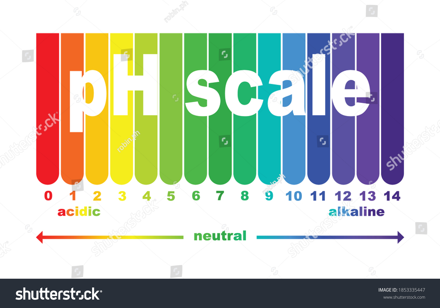 scale-ph-value-acid-alkaline-solutions-stock-vector-royalty-free