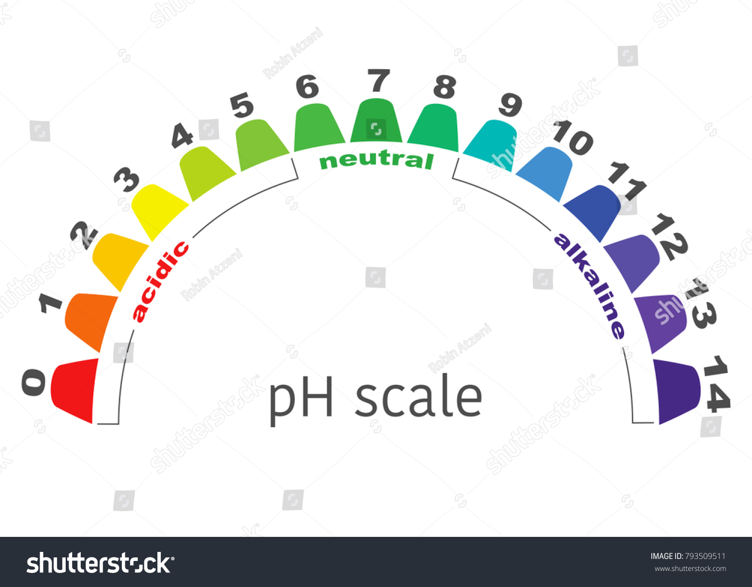 Scale Ph Value Acid Alkaline Solutions Stock Vector (Royalty Free ...