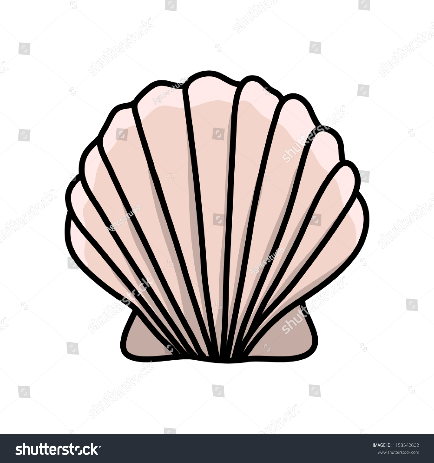 Scallop Sea Shell Hand Drawn Illustration Stock Vector (Royalty Free ...