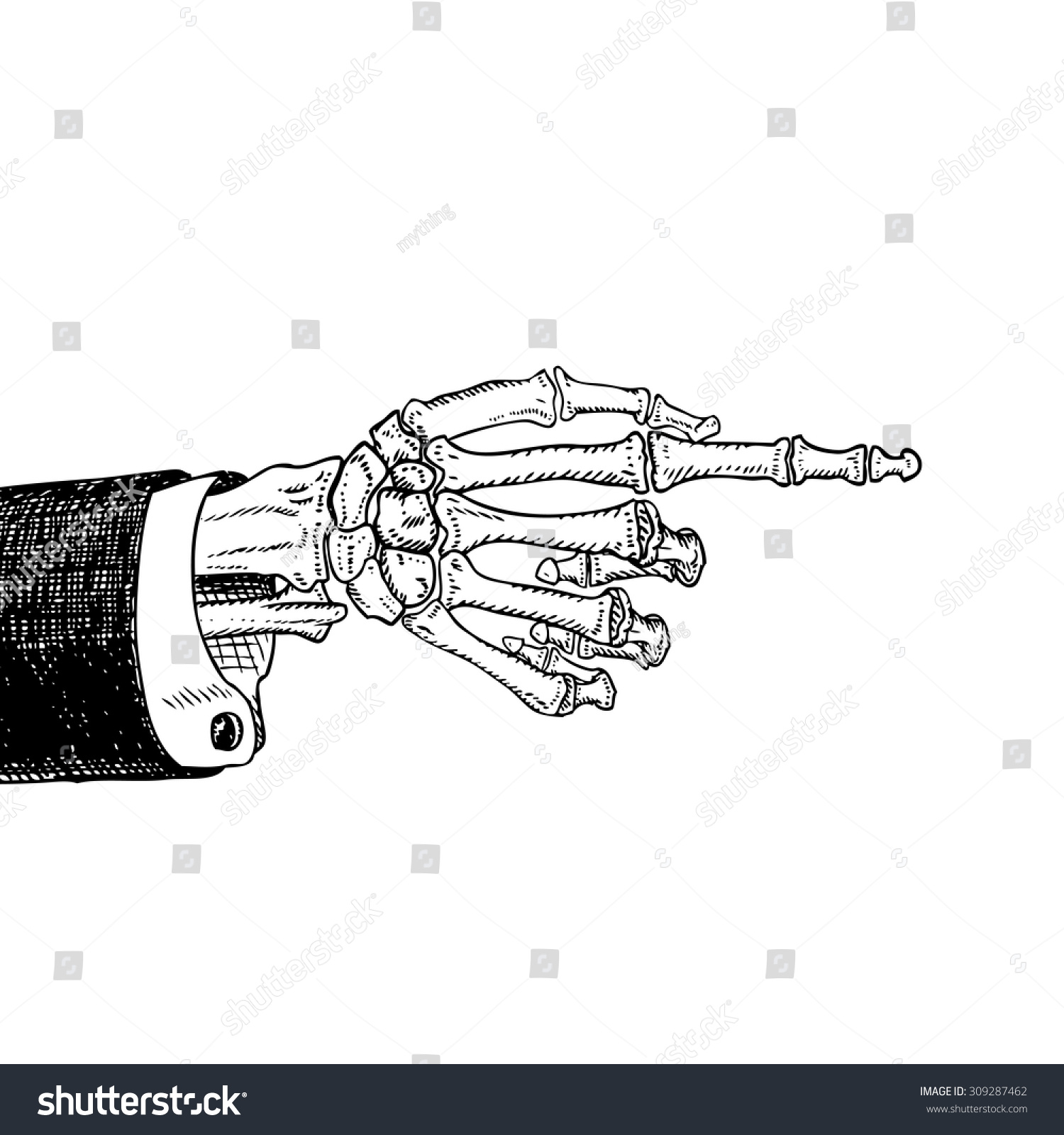 Scary Skeleton Hand Pointing Handdrawn Sketch Stock Vector 309287462 ...