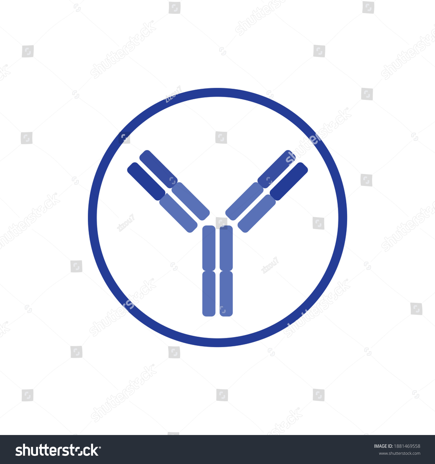 Schematic Diagram Immunoglobulin Antibody Stock Vector (Royalty Free ...