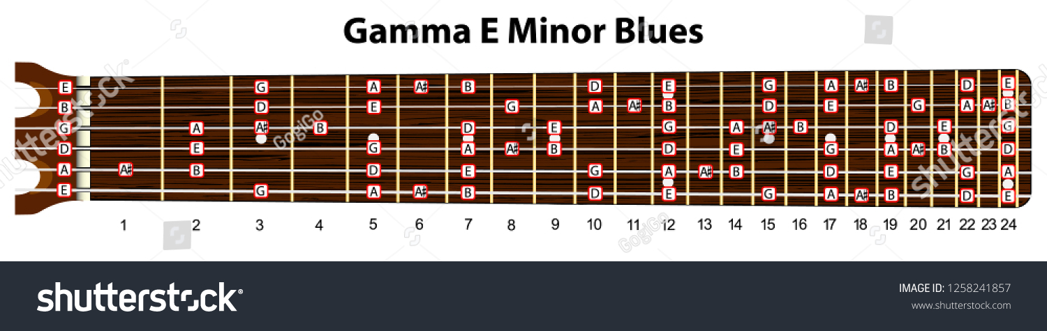 Schematic View Guitar Neck Scale E Stock Vector Royalty Free