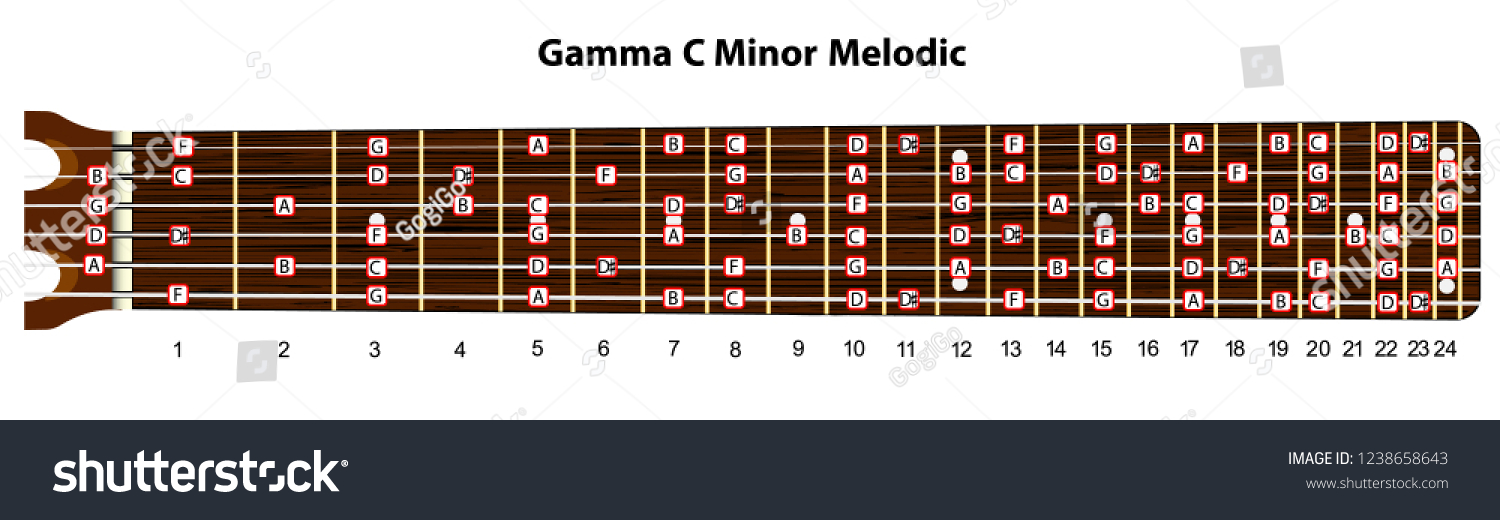 Schematic View Guitar Neck Gamma C Stock Vector (Royalty Free) 1238658643