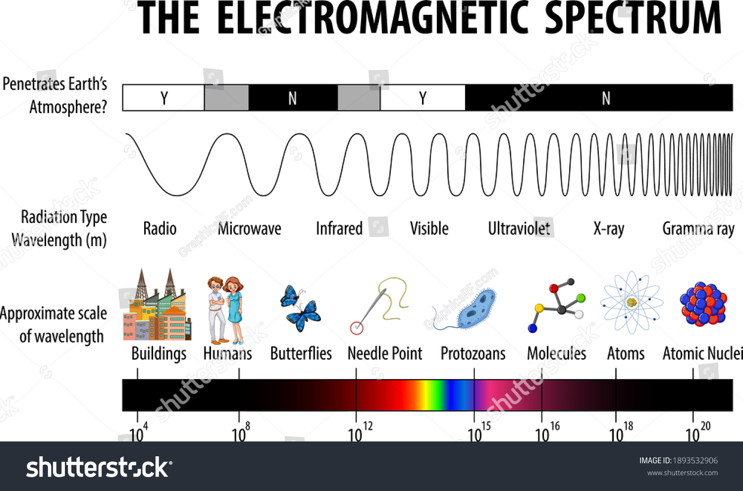 Science Electromagnetic Spectrum Diagram Illustration Stock Vector ...