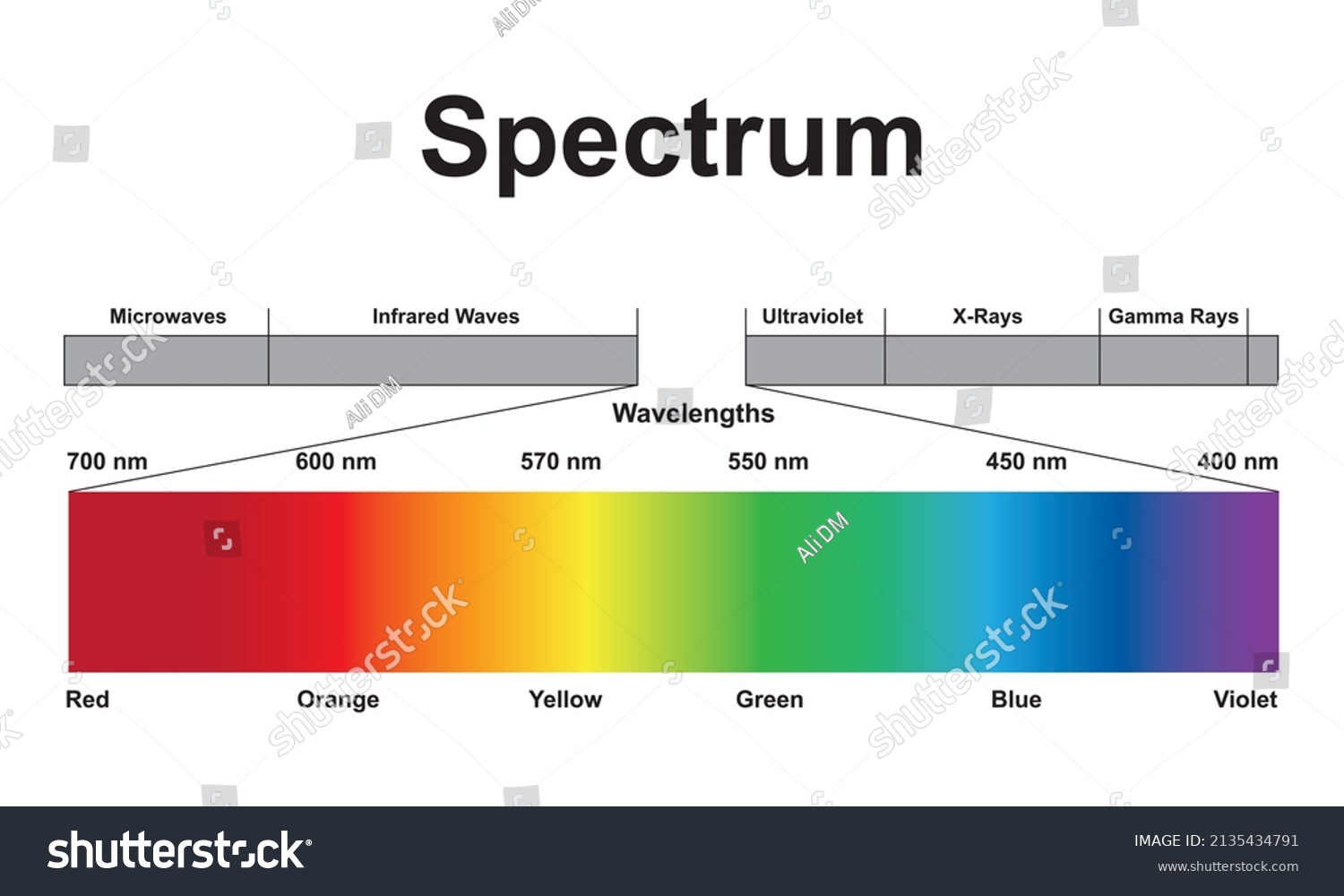 Scientific Designing Electromagnetic Waves Spectrum Light Stock Vector ...