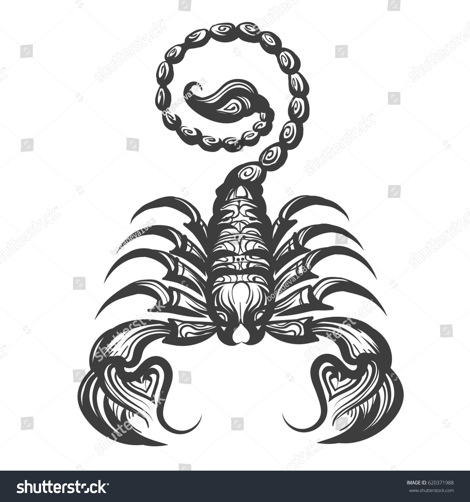 Scorpion Drawn Engraving Style Vector Illustration Stock Vector ...
