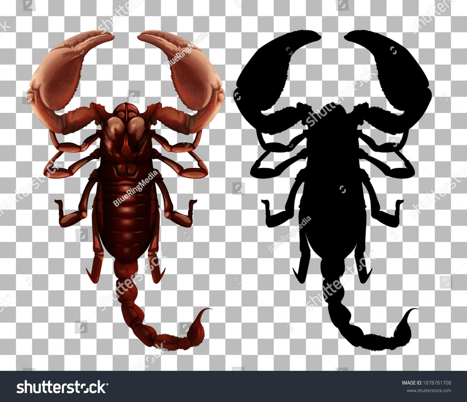 brown scorpion with silhouette, transparent background clip art preview