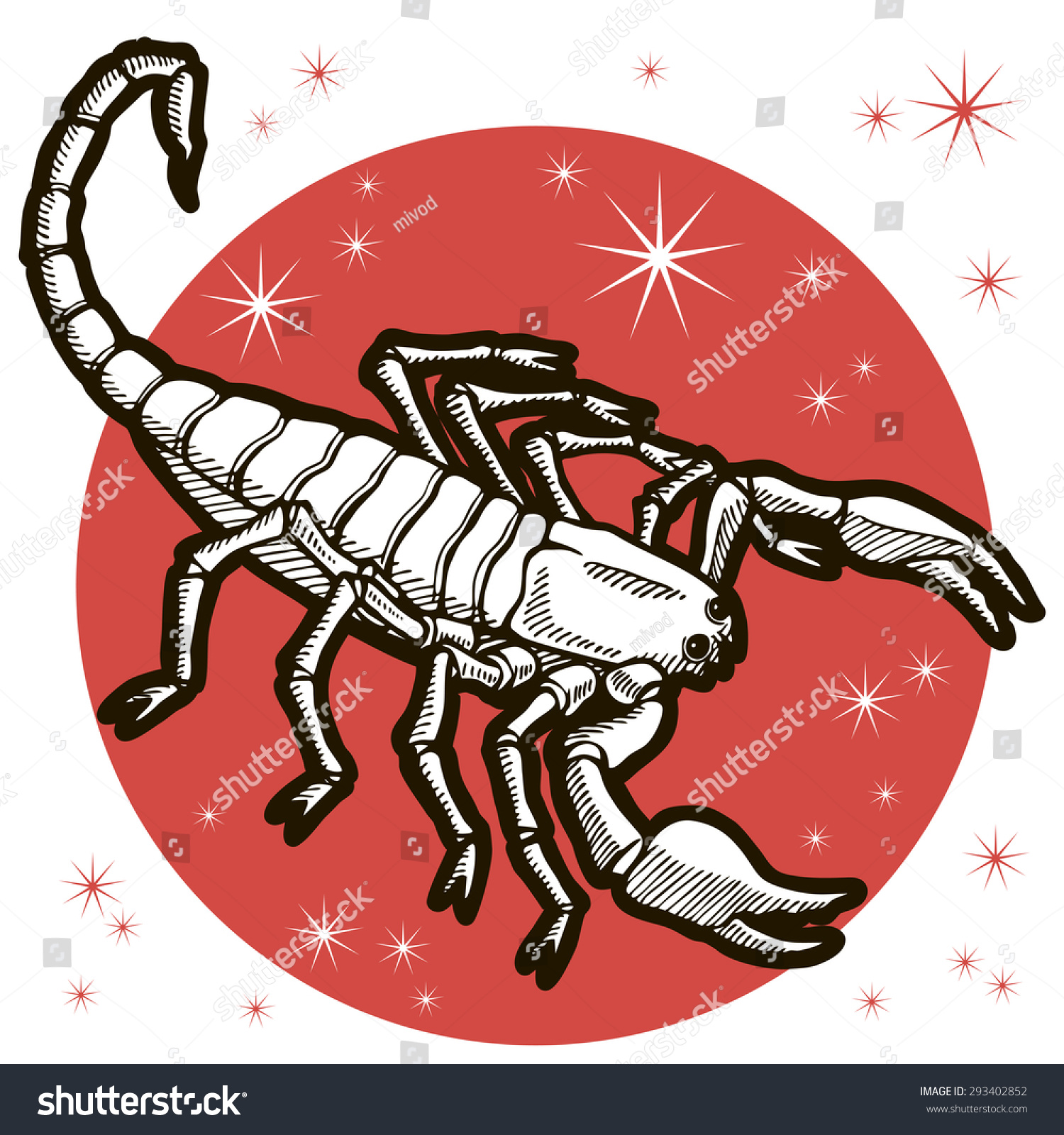 Scorpion. Zodiac Sign - Scorpio. Vector Illustration. Black And White ...