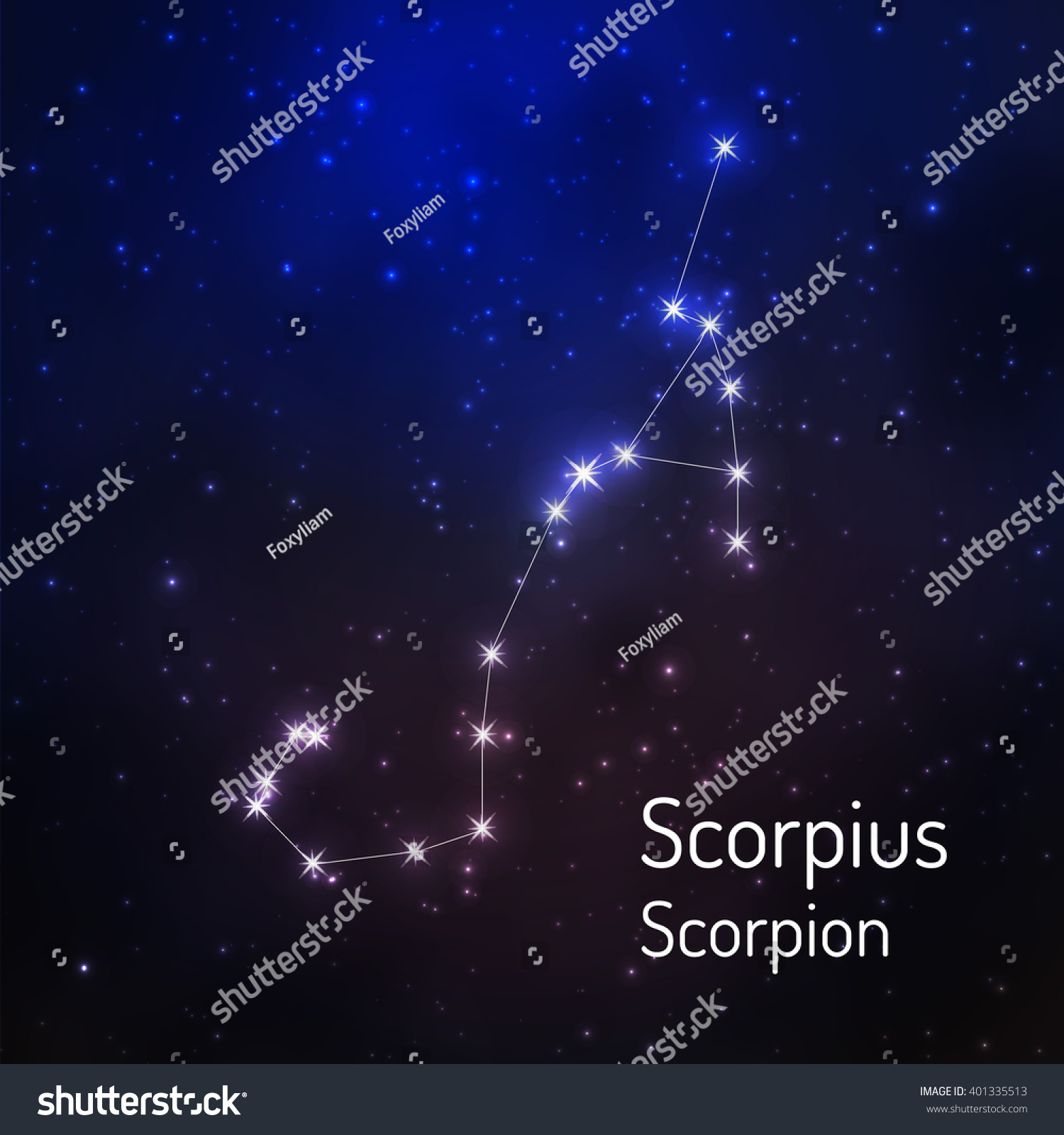 Scorpius Scorpion Constellation Night Starry Sky Stock Vector (Royalty ...