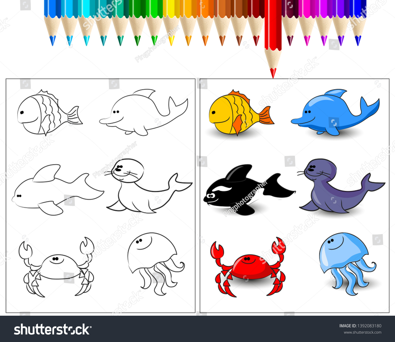 Download Sea Coloring Book Cartoon Wild Animals Stock Vector Royalty Free 1392083180