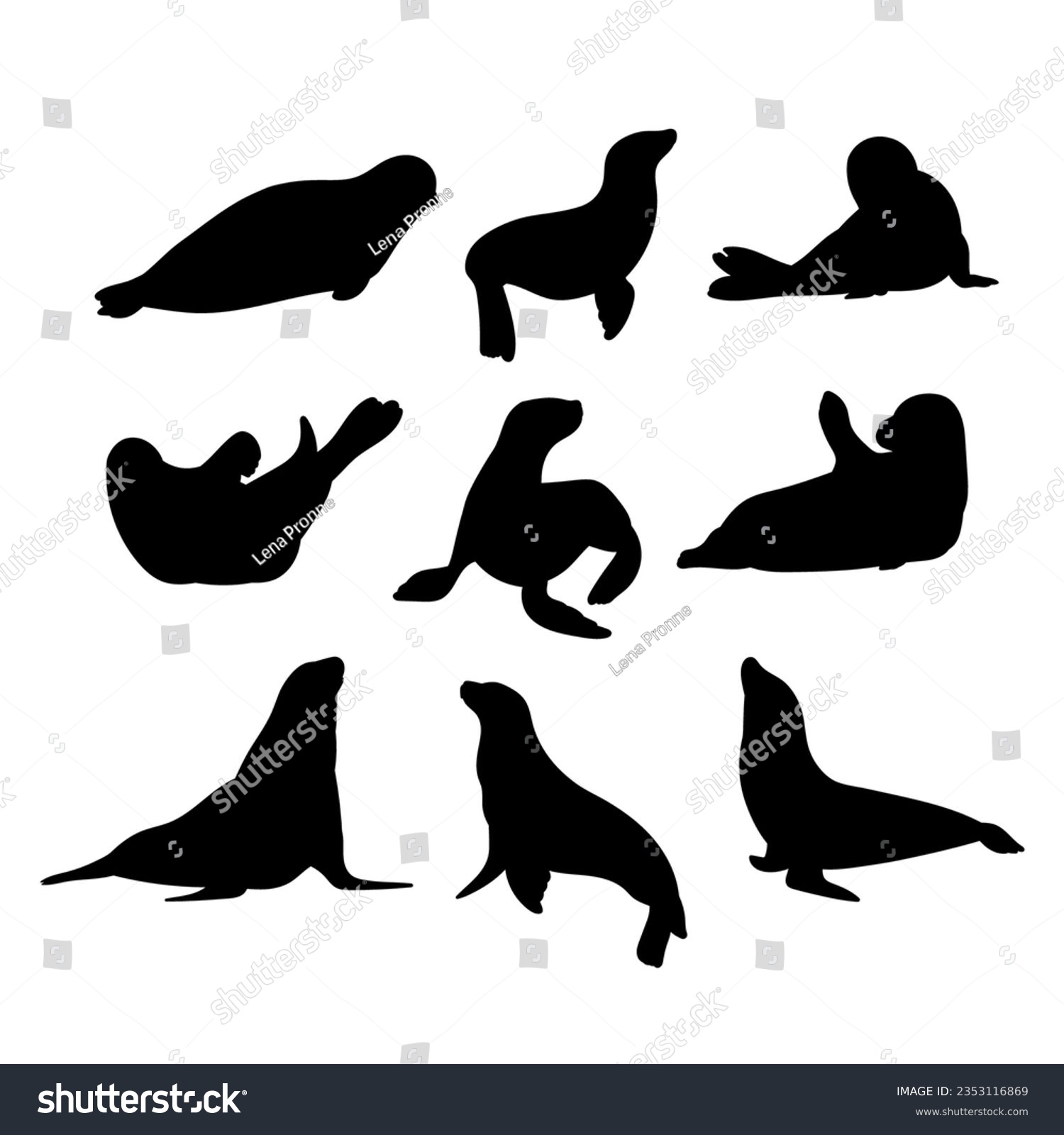 SVG of Sea calf seal silhouette set stencil templates svg